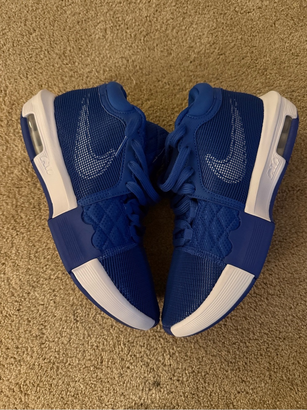 Nike Lebron Witness 8 TB Game Royal Blue White FB9944-401 Men’s Size 8